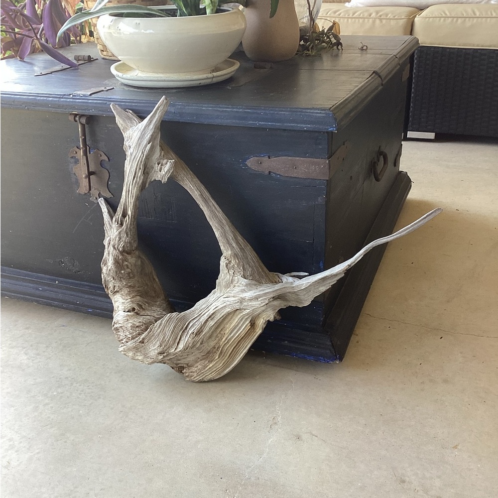 Real Wood, One-Piece Tree Root - Picture 3 of 11
